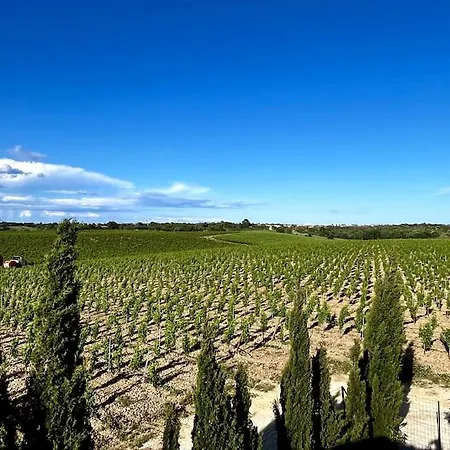 Maison Au Coeur Des Vignes * 卡内