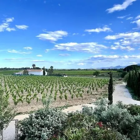 Hébergement de vacances Maison Au Coeur Des Vignes Canet-en-Roussillon
