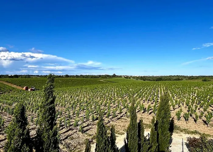 Maison Au Coeur Des Vignes * Canet-en-Roussillon